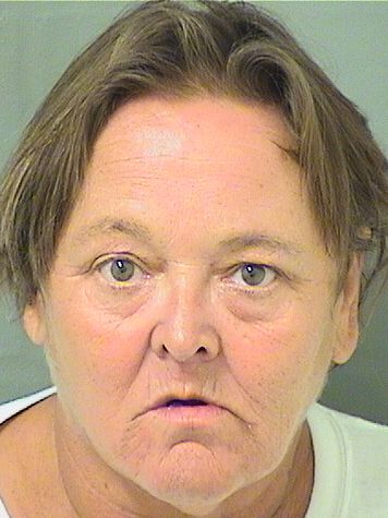  HEATHER ADAIAH REESE Results from Palm Beach County Florida for  HEATHER ADAIAH REESE