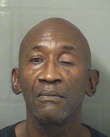  VINCENT A JOHNSON Results from Palm Beach County Florida for  VINCENT A JOHNSON