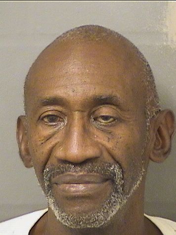  VINCENT A JOHNSON Results from Palm Beach County Florida for  VINCENT A JOHNSON