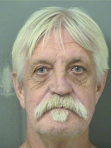  ANDRE EDWARD MICHAUD Results from Palm Beach County Florida for  ANDRE EDWARD MICHAUD