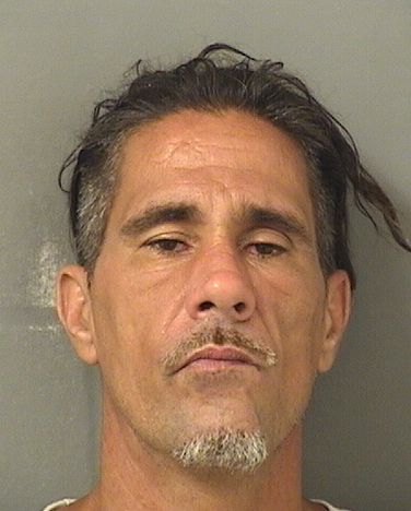  STEPHEN EUGENE DULMAINE Results from Palm Beach County Florida for  STEPHEN EUGENE DULMAINE