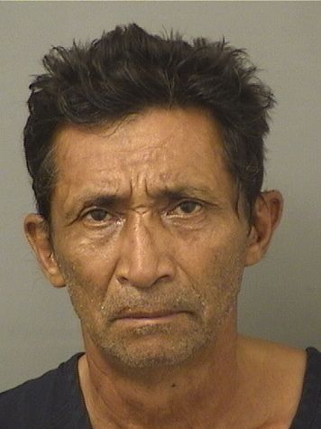 OSWALDO SANCHEZ Photos For  OSWALDO SANCHEZ  OSWALDO SANCHEZ Photo For  OSWALDO SANCHEZ