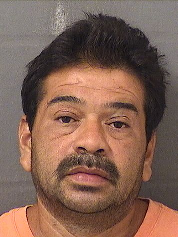 WILSON DELFIN Results from Palm Beach County Florida for WILSON DELFIN WILSON DELFIN Results from Palm Beach County Florida for WILSON DELFIN