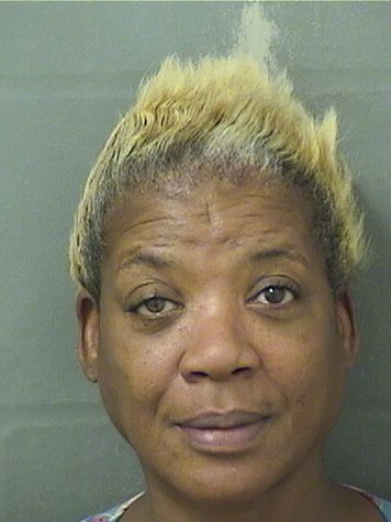  CARMONITA NECHELLE MITCHELL Results from Palm Beach County Florida for  CARMONITA NECHELLE MITCHELL