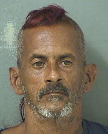  DAVID U DELVALLE Results from Palm Beach County Florida for  DAVID U DELVALLE