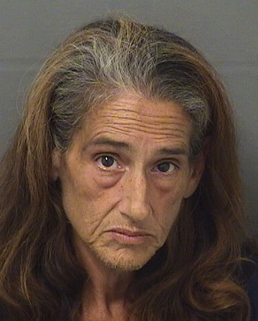  MICHELE E NATOLI Results from Palm Beach County Florida for  MICHELE E NATOLI