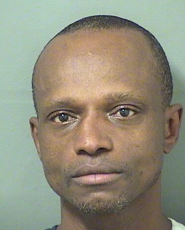  IAN AKIM FELDER Results from Palm Beach County Florida for  IAN AKIM FELDER