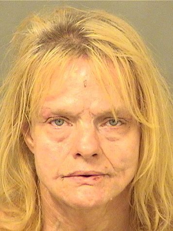  LISA ANN CRAMER Resultados de la busqueda para Palm Beach County Florida para  LISA ANN CRAMER