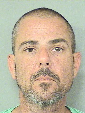  BRENT DOUGLAS LEWIS Results from Palm Beach County Florida for  BRENT DOUGLAS LEWIS