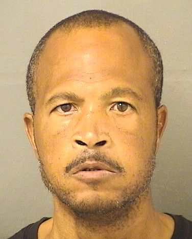  MICHAEL NORRIS Results from Palm Beach County Florida for  MICHAEL NORRIS