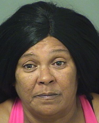  DEBRA M PERRY Resultados de la busqueda para Palm Beach County Florida para  DEBRA M PERRY