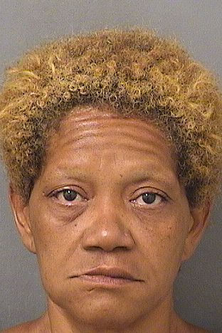  ALLYSON T RICHARD Results from Palm Beach County Florida for  ALLYSON T RICHARD