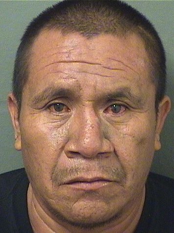 DOMINGO MIGUEL FRANCISCO Results from Palm Beach County Florida for DOMINGO MIGUEL FRANCISCO DOMINGO MIGUEL FRANCISCO Results from Palm Beach County Florida for DOMINGO MIGUEL FRANCISCO