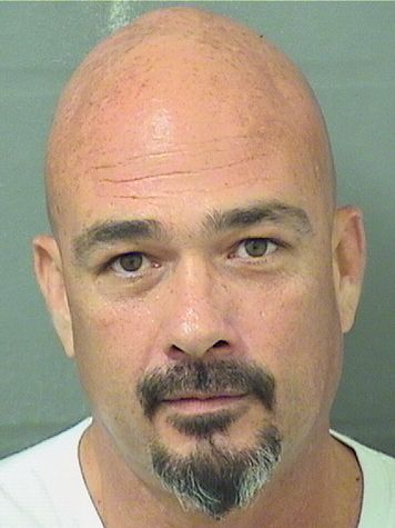  MICHAEL JOHN Jr TEDESCO Results from Palm Beach County Florida for  MICHAEL JOHN Jr TEDESCO