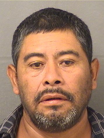  JULIO GONZALEZ Results from Palm Beach County Florida for  JULIO GONZALEZ