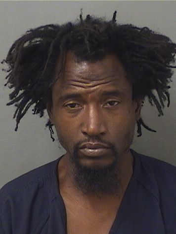  TERRY DEMITRI LAMONTEZ Results from Palm Beach County Florida for  TERRY DEMITRI LAMONTEZ