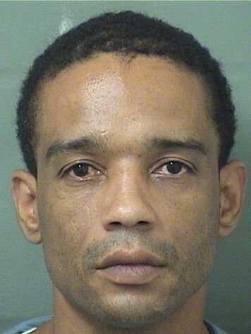  MIGUEL ANGELO Jr HERNANDEZ Results from Palm Beach County Florida for  MIGUEL ANGELO Jr HERNANDEZ