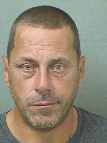  MICHAEL N NEUBAUER Photo For  MICHAEL N NEUBAUER