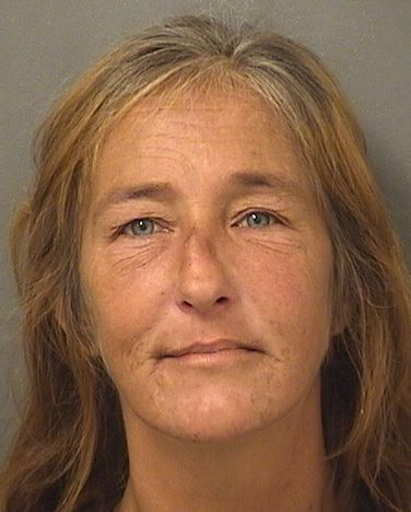  JULIA FAITH MCDONALD Results from Palm Beach County Florida for  JULIA FAITH MCDONALD