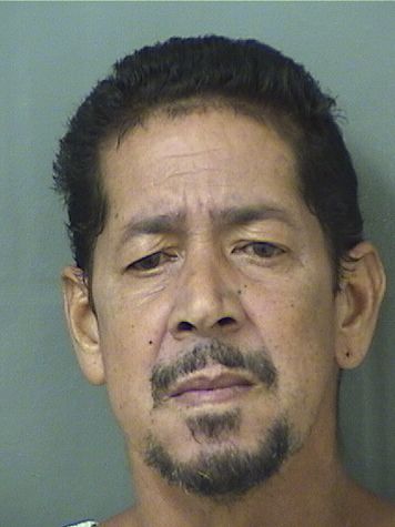  LUIS FERNANDO ORTIZORTIZ Results from Palm Beach County Florida for  LUIS FERNANDO ORTIZORTIZ