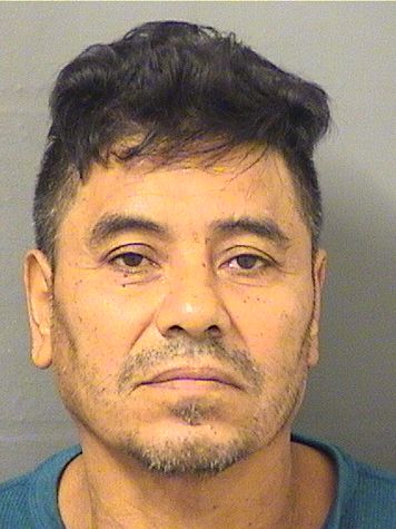  RENE CANALES Results from Palm Beach County Florida for  RENE CANALES