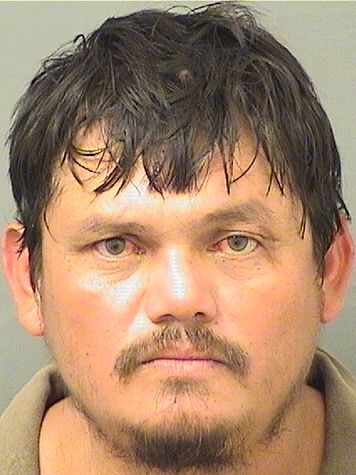  RODRIGO SANCHEZ FLORES Results from Palm Beach County Florida for  RODRIGO SANCHEZ FLORES