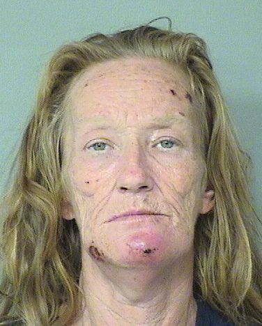  TERESA L JOHNSON Resultados de la busqueda para Palm Beach County Florida para  TERESA L JOHNSON