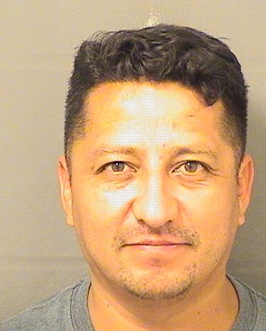  ERNESTO LUISNICHOLAS MANESTAR Resultados de la busqueda para Palm Beach County Florida para  ERNESTO LUISNICHOLAS MANESTAR