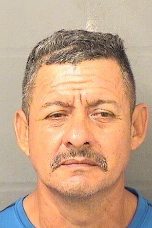  FERNANDO RENDON Results from Palm Beach County Florida for  FERNANDO RENDON