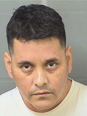  JUAN MARTINEZ Results from Palm Beach County Florida for  JUAN MARTINEZ