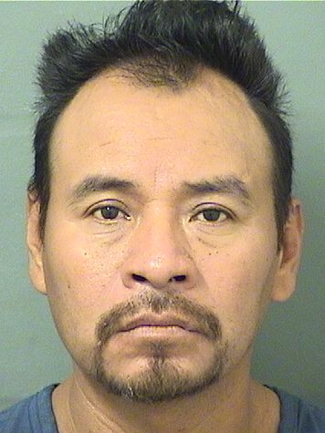  PEDRO CRUZ Resultados de la busqueda para Palm Beach County Florida para  PEDRO CRUZ