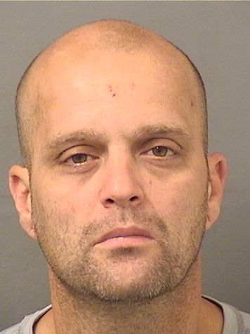  BRENT ALFRED PROVOST Results from Palm Beach County Florida for  BRENT ALFRED PROVOST