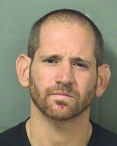  DAVID VINCENT MARCHESE Photo For  DAVID VINCENT MARCHESE