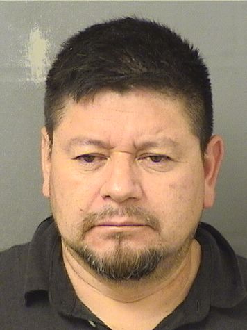  ANTONIO CAMPOSECO MENDEZ Results from Palm Beach County Florida for  ANTONIO CAMPOSECO MENDEZ