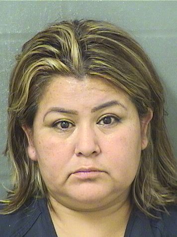  HORTENSIA CASTILLO Resultados de la busqueda para Palm Beach County Florida para  HORTENSIA CASTILLO