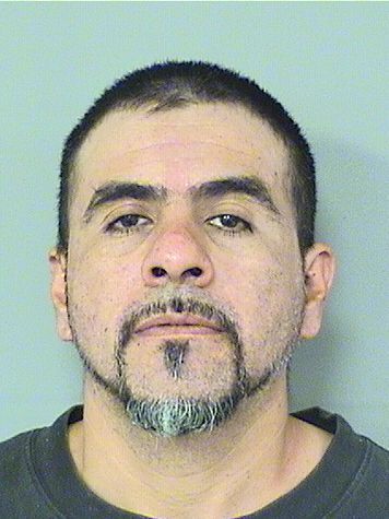  CARMELO AVILA MARTINEZ Results from Palm Beach County Florida for  CARMELO AVILA MARTINEZ