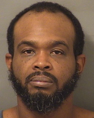  MICHAEL DELL MCCOY Resultados de la busqueda para Palm Beach County Florida para  MICHAEL DELL MCCOY