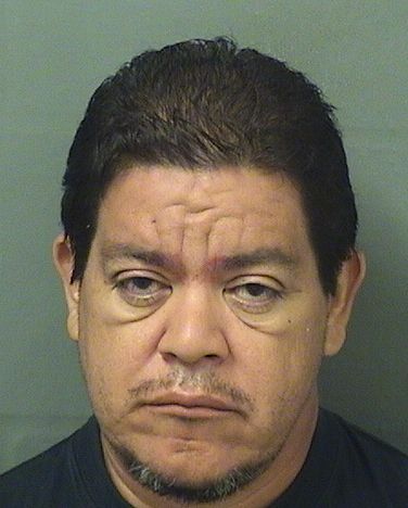  MARLON V MORENO Results from Palm Beach County Florida for  MARLON V MORENO