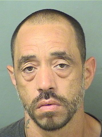  TONY ADORNO Results from Palm Beach County Florida for  TONY ADORNO