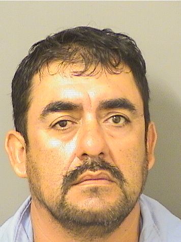  JOEL PINEDAMOJICA Photo For  JOEL PINEDAMOJICA