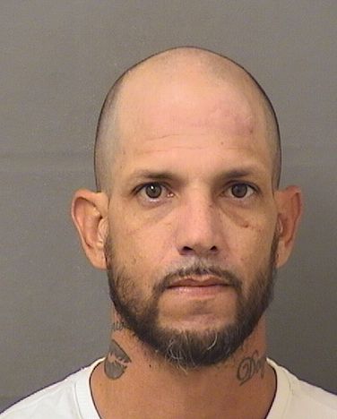  DAMIAN RAMALLO Results from Palm Beach County Florida for  DAMIAN RAMALLO