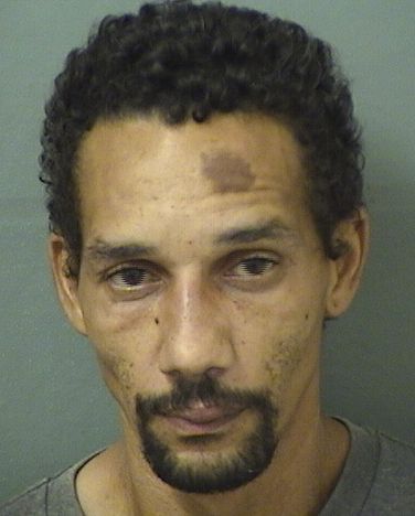  LUIS REY DEJESUS Resultados de la busqueda para Palm Beach County Florida para  LUIS REY DEJESUS