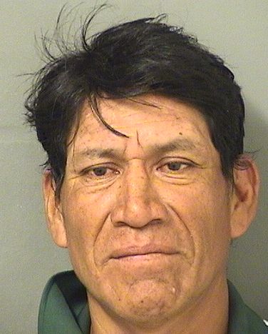  JORGE VELASQUEZVELASQUEZ Photo For  JORGE VELASQUEZVELASQUEZ