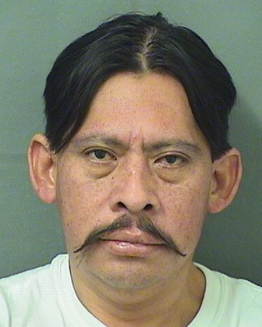  HERMAN PEREZVAIL Results from Palm Beach County Florida for  HERMAN PEREZVAIL