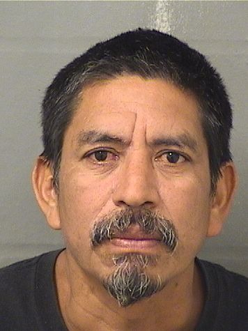  ANSELMO FELICIANO DIAZ Results from Palm Beach County Florida for  ANSELMO FELICIANO DIAZ