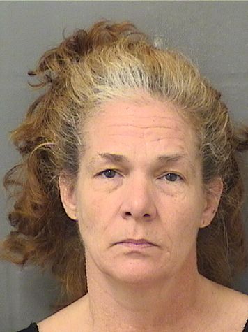  MICHELLE RAE SEITTER Results from Palm Beach County Florida for  MICHELLE RAE SEITTER