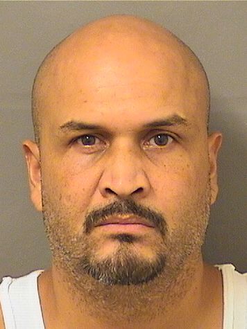  DAVID MARIO BORDALLO Results from Palm Beach County Florida for  DAVID MARIO BORDALLO