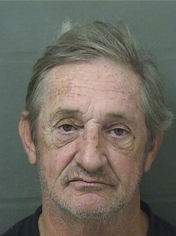  DAVID RICHARD LOONAN Results from Palm Beach County Florida for  DAVID RICHARD LOONAN