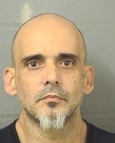  ADRIAN BERNAL Results from Palm Beach County Florida for  ADRIAN BERNAL