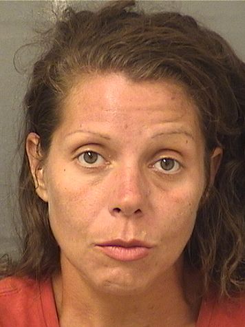  GINA D RICCIARDI Results from Palm Beach County Florida for  GINA D RICCIARDI